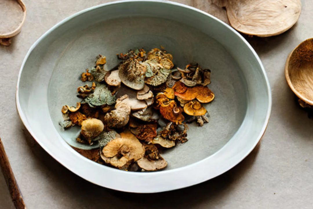 A bowl of adaptogen mushrooms